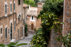 sda_landscape-23
