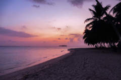 sda_landscape-5